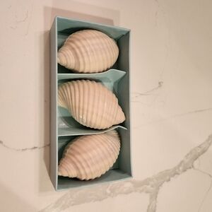 NIB Benandre Sculptured Shell Soaps Ben Rickert Ivory Fresh Scent 3.5oz
